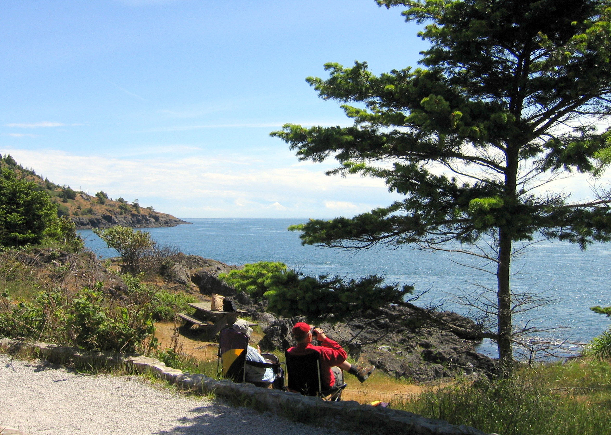 The Best Hikes Trips On San Juan Island
