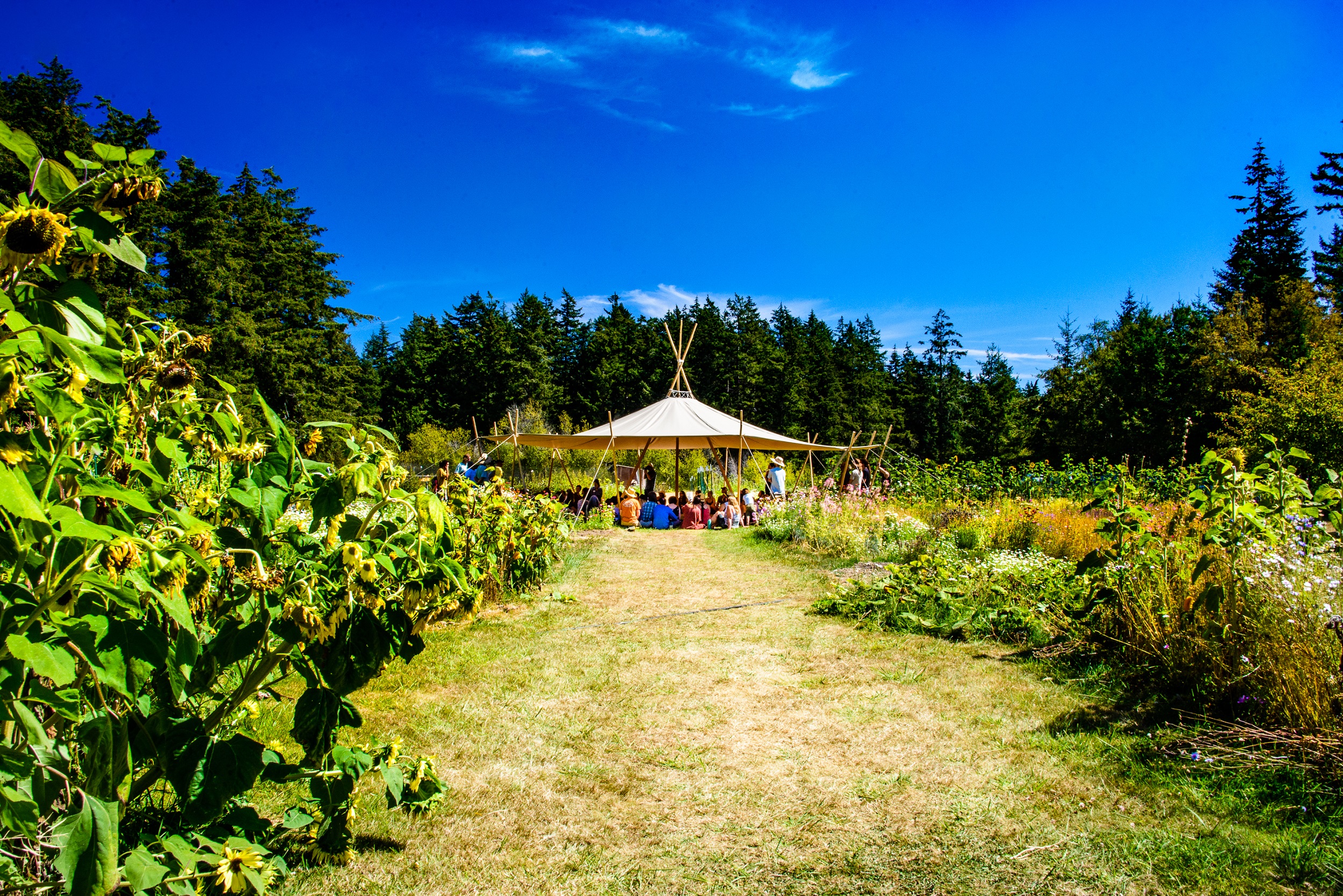 Orcas Island Food & Farms Tour San Juan Islands Washington Visitors Bureau Orcas Island