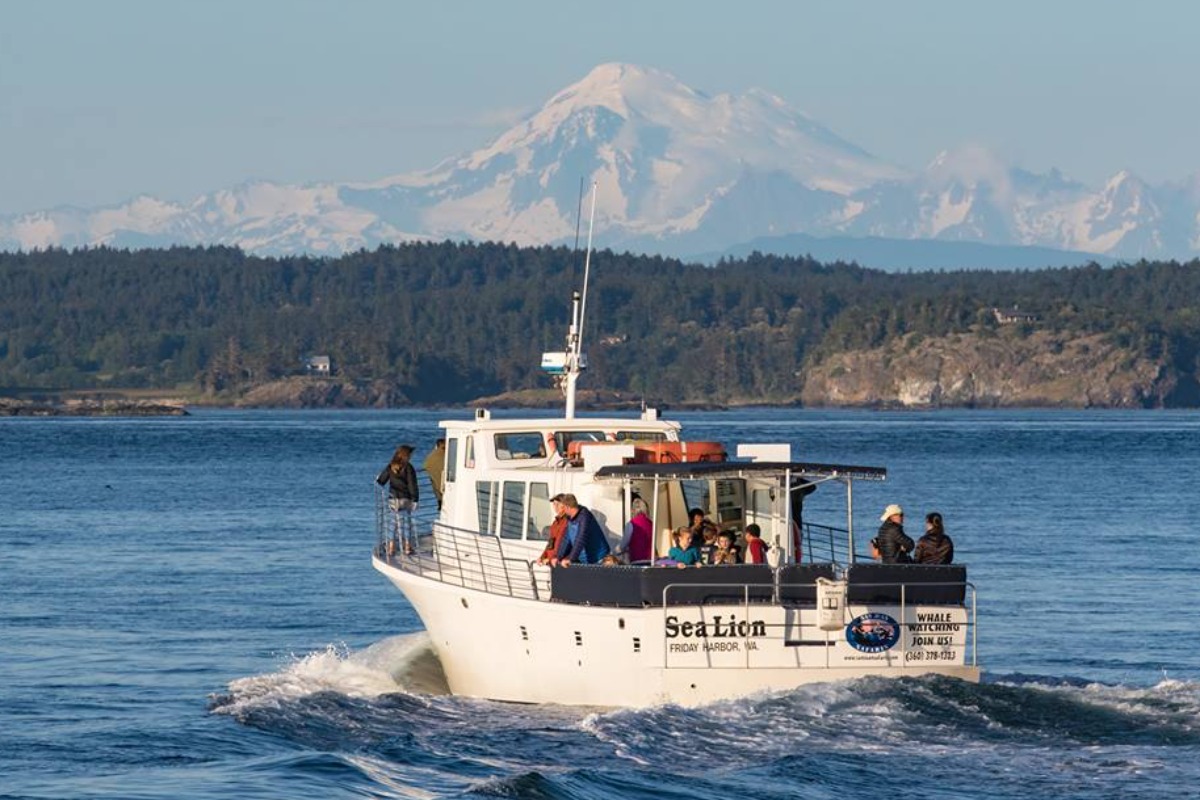 Classic whale watch tour vessel Sea Lion - great for family gatherings